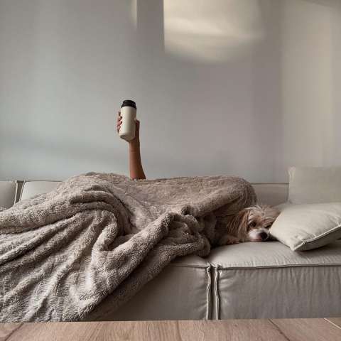 Image by sharchee Image by sharchee