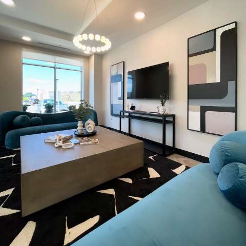 Image by @surroundingsbymaryarthur