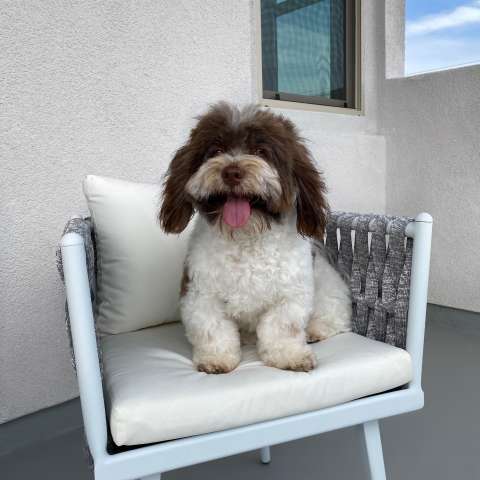 Image by Matthew Image by Matthew