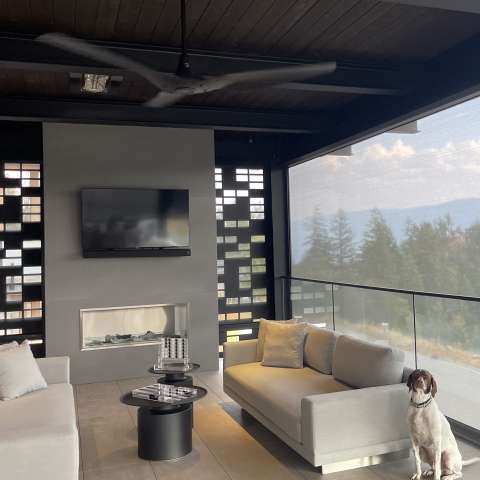 Image by Claudine Image by Claudine