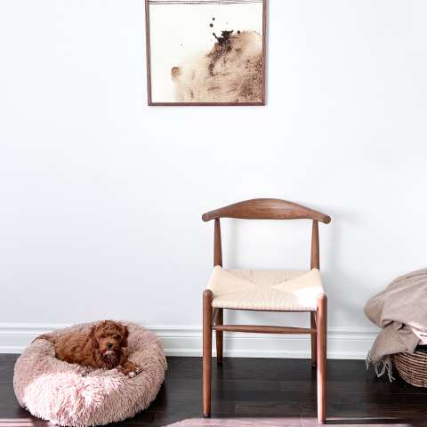 Image by Chris-Ann Ahjahorie Image by Chris-Ann Ahjahorie