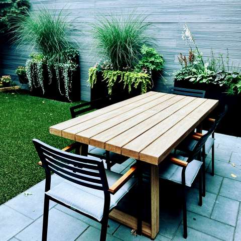 Image by Daniel Image by Daniel