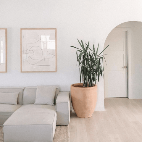 Image by yana.sushchik Image by yana.sushchik