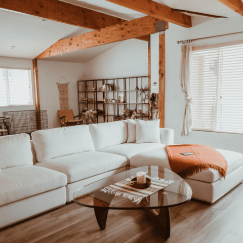 Image by Sophia Chang Image by Sophia Chang