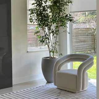 Image by @theplantjunkie Image by @theplantjunkie