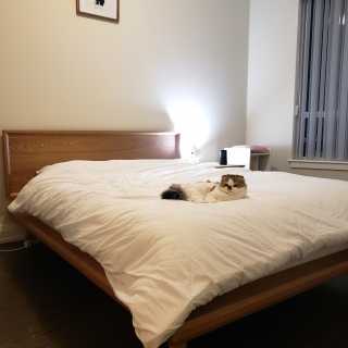 Image by Yejin Sa Image by Yejin Sa