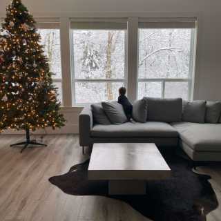 Image by Renata Image by Renata